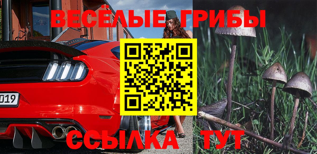 Галлюциногенные грибы мухоморы Холмск