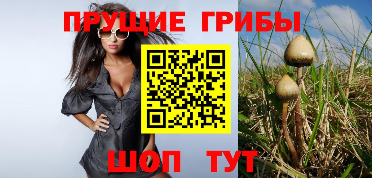 как найти закладки  Псилоцибиновые грибы MAGIC MUSHROOMS  Вход с VPN  Галлюциногенные грибы Magic Shrooms  Холмск 